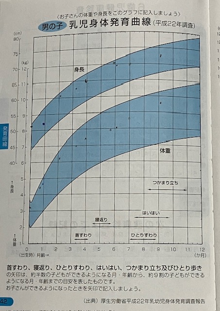母子手帳の乳児身体発育曲線のグラフ。子どもの身長や体重をグラフ化したもの