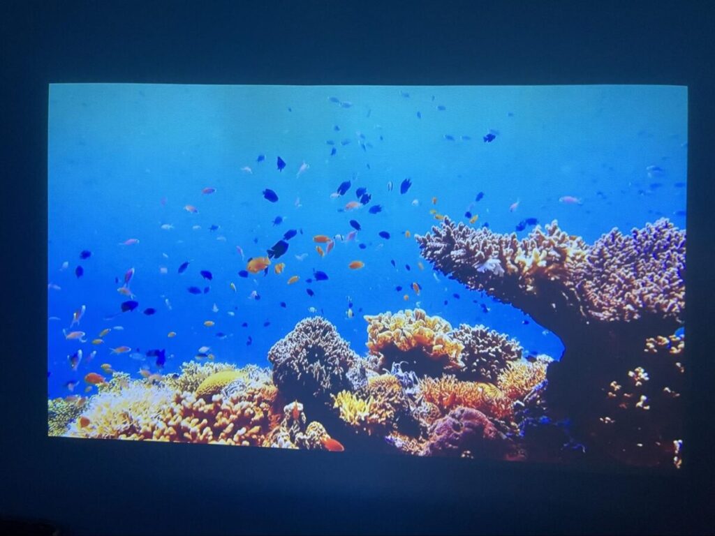 プロジェクターで映し出した海の中の映像