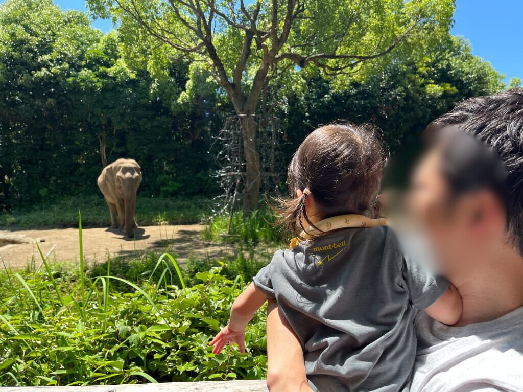 ズーラシア動物園で父親の抱っこされながら高い目線で象を観察している子供の様子。