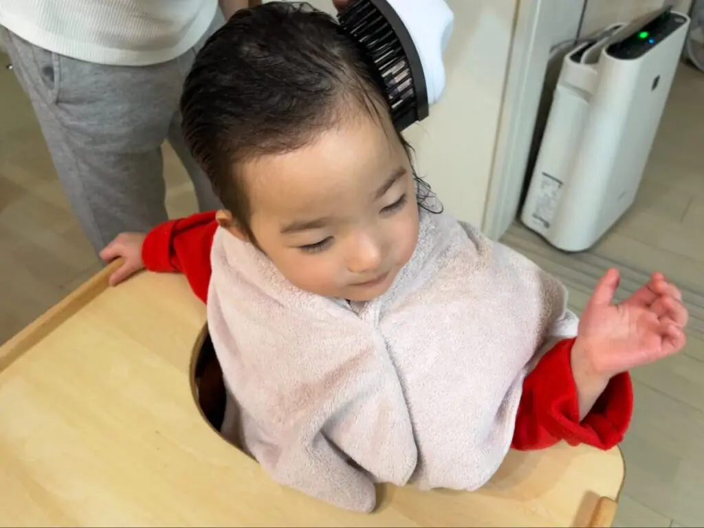 レポ】SUSUGU（ススグ）ミストブラシ・ミストシャンプーを使って