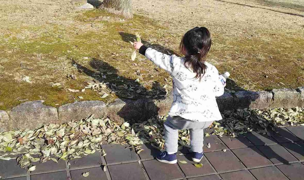 秋の感覚統合遊び。女の子が落ち葉を集めて遊んでいる様子