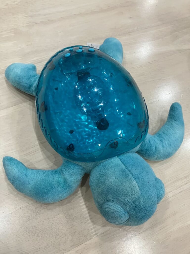 白い木の床の上に、水色のカメの脱ぐるみが置いてある。カメの甲羅はプラスチックで、透明感のある水色。