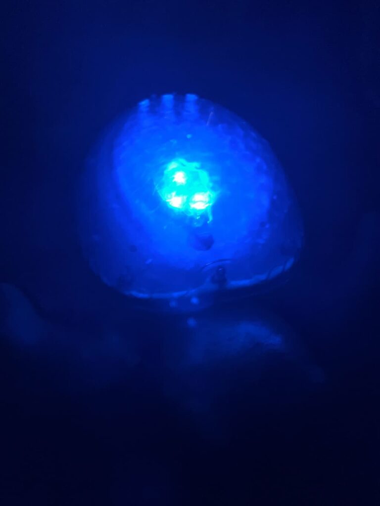 暗闇で青く光っているおもちゃ